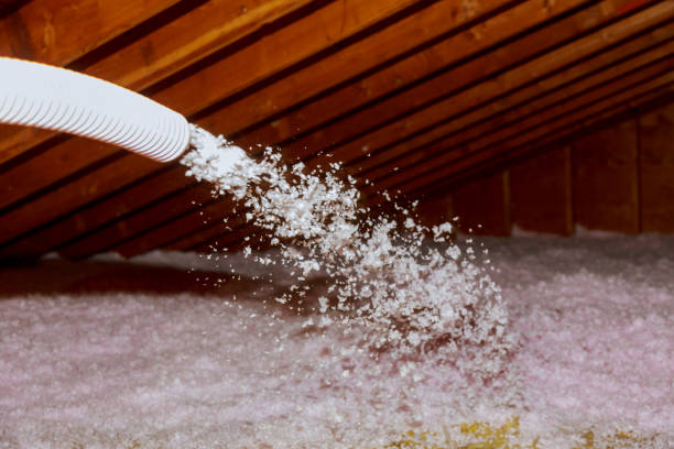 Best Garage Insulation Installation  in Rock Hill, SC