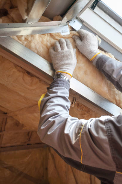 Best Affordable Insulation Services  in Rock Hill, SC