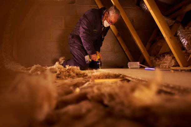 Best Wall Insulation Contractor  in Rock Hill, SC